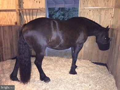 16873 Chestnut Overlook Dr, Purcellville, VA 20132 - photo 5