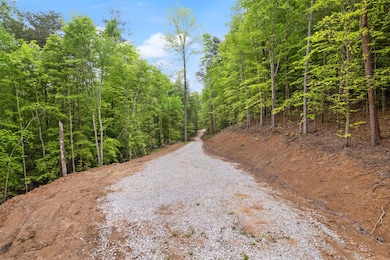 16 Clay-Alexander Rd, Campton, KY 41301 - photo 5