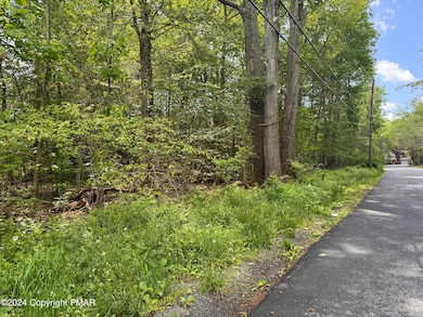 2159 Birchwood Blvd, Pocono Summit, PA 18346 - photo 6