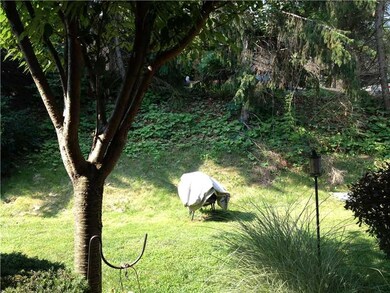 Yard/Garden.