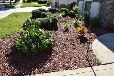 Flower bed by front door
