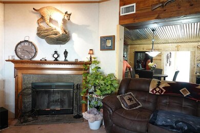 7045 County Road 551, Brownwood, TX 76801 - photo 6