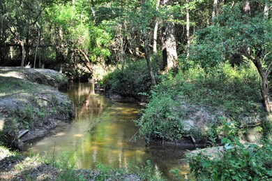 125 River Rd, Lucedale, MS 39452 - photo 2