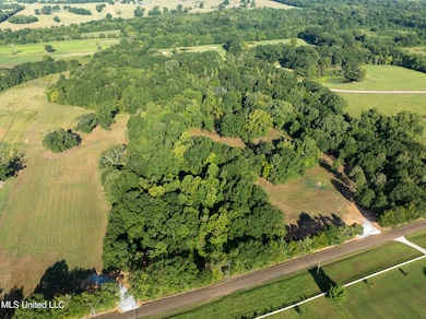 0 Cane Creek Rd unit 4132142, Flora, MS 39071 - photo 3