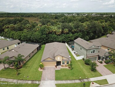 Elevated View
