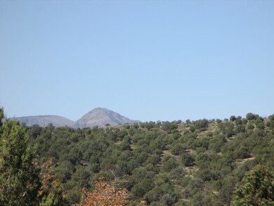 404 S Canpar Way, Payson, AZ 85541 - photo 7