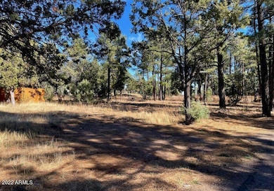 801 Bushman -- unit 1, Show Low, AZ 85901 - photo 3