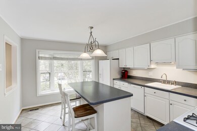 6820 Earthstar Ct, Springfield, VA 22152 - photo 6