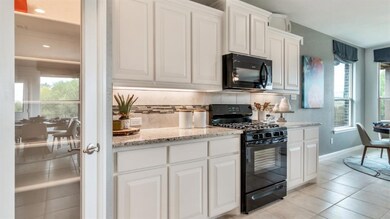 1821 Ruffian Rd, Granbury, TX 76049 - photo 7