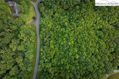 TBD Lot 106 Firethorn Trail, Blowing Rock, NC 28605 - photo 3