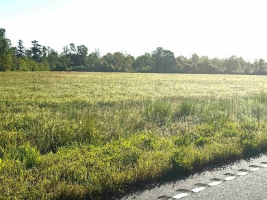 Tract 1 State Road S-21-881, Scranton, SC 29591 - photo 2