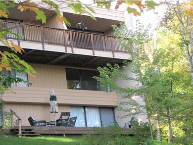 1229 Notchbrook Rd unit 20CS, Stowe, VT 05672 - photo 3