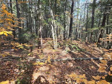 00 Bull Pasture Rd, Eaton, NH 03832 - photo 4