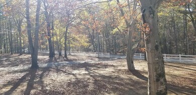 Front Porch View