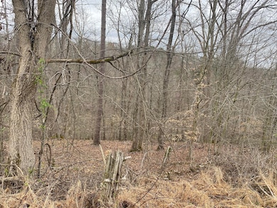 701 Tower Rd, Hurricane, WV 25526 - photo 3