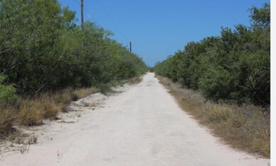 0 County Road 284 Rd unit ACT3597914, Benavides, TX 78342 - photo 2