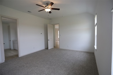 representative photo