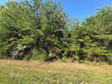 283 Golden Eagle Cir, Turtletown, TN 37391 - photo 2