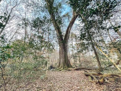 600 SW Santa fe Dr, Fort White, FL 32038 - photo 4