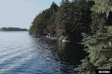 NHN: C-2RC Long Island, Sitka, AK 99835 - photo 6