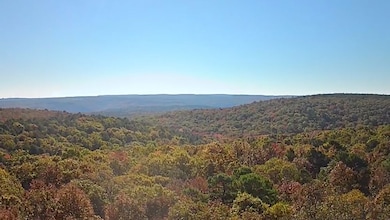 0000 Dump Mountain Rd, Mountain View, AR 72560 - photo 4