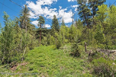 TBD Firehouse Rd, Redstone, CO 81623 - photo 7