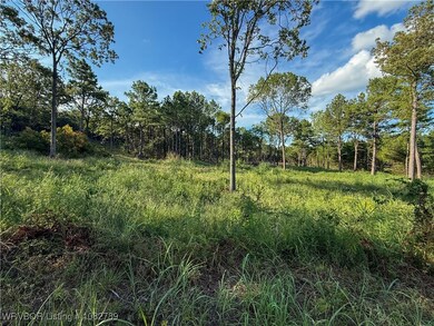 TBD Tract #1 Coggins Ave, Poteau, OK 74953 - photo 4