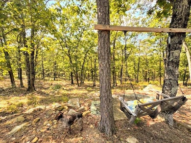 88 Buffalo Mtn Rd, Talihina, OK 74571 - photo 5