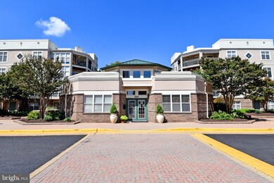 5573 Seminary Rd unit 303, Baileys Crossroads, VA 22041 - photo 4