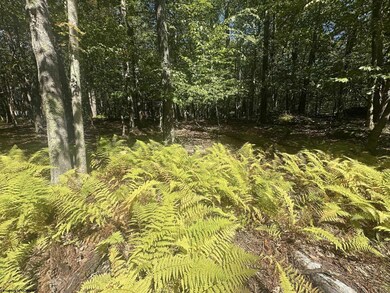 47 Daylily Ct, Terra Alta, WV 26764 - photo 5