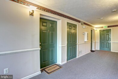 3012 Hunting Ridge Dr, Owings Mills, MD 21117 - photo 3