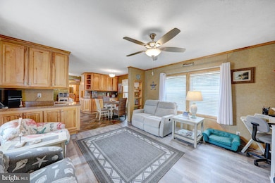 7 Spinning Wheel Ln, Rehoboth Beach, DE 19971 - photo 6