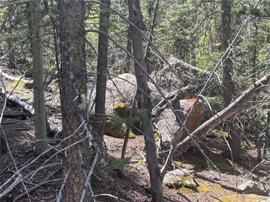 169 Ithaca Ln, Como, CO 80432 - photo 5