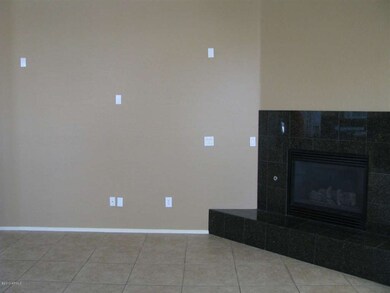 Fireplace _TV Wall 2