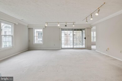 7 Pipe Hill Ct unit B, Baltimore, MD 21209 - photo 6