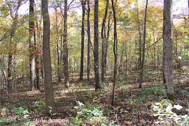 0 Cr 935 unit 1329173, Berryville, AR 72616 - photo 4