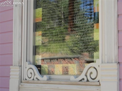 500 Pinon Lake Dr, Divide, CO 80814 - photo 4