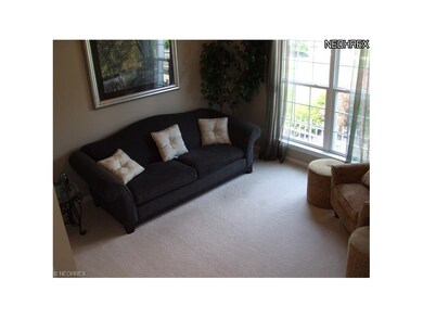 Picture contains non-standard items