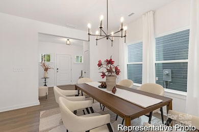 401 White Hare Ln unit 69p, China Grove, NC 28023 - photo 6