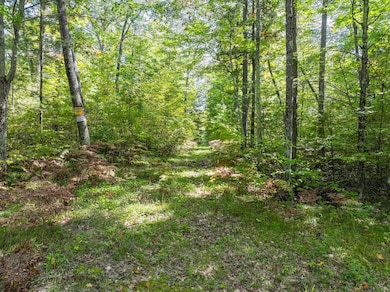 Lot 1 Lake Yawkey Dr, Hazelhurst, WI 54531 - photo 6
