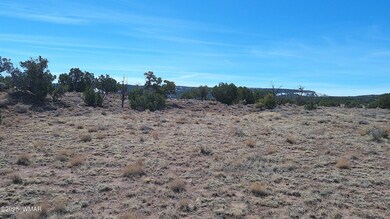 0 Windsor Valley Ranch unit 254962, Concho, AZ 85924 - photo 4