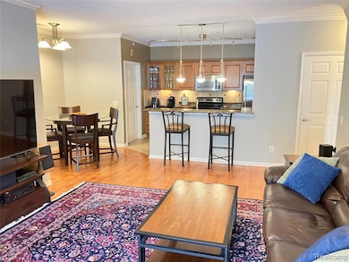 331 Scio Village Ct unit 281, Ann Arbor, MI 48103 - photo 3