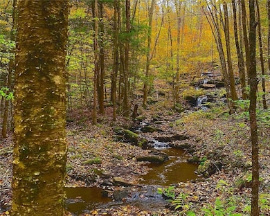 0 Bragg Hollow Rd, Middletown, NY 12438 - photo 6