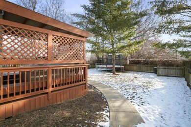 39-web-or-mls-DSC09633