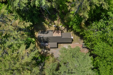 46 Christmas Tree Ln_103