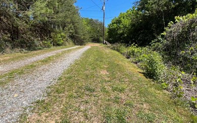 393 Old Orchard Rd, Ellijay, GA 30536 - photo 2