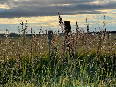 14487 Braylee Jo Rd, Piedmont, SD 57769 - photo 6