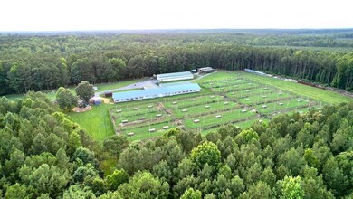 19003 Comans Well Rd, Yale, VA 23897 - photo 7