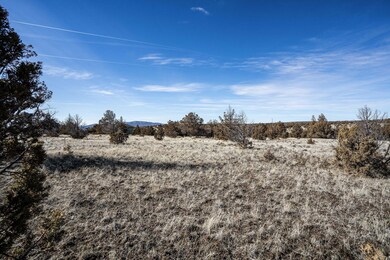 2025_02_26_southwest_texas_circle_lot-31