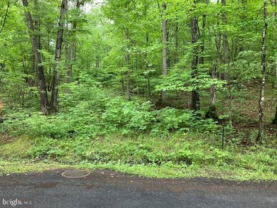 0 Susan Rd unit VASH2003412, Basye, VA 22810 - photo 6